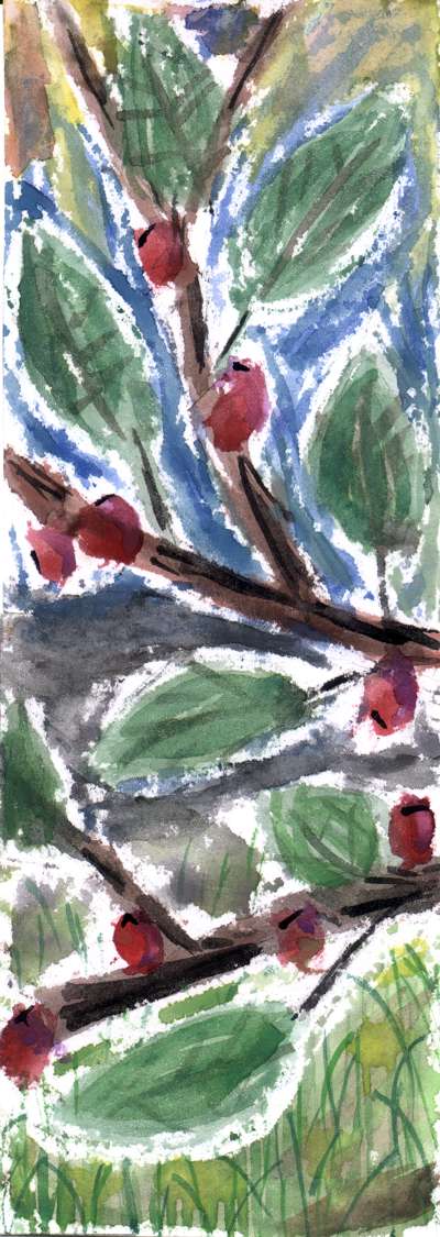 Howadoorova bobulzn mazanice