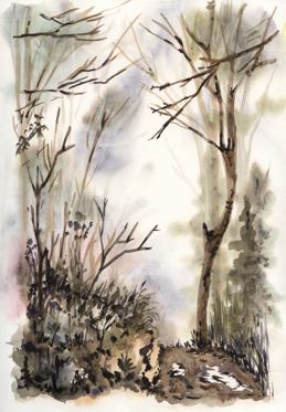 Cesta nad chatu pod Suchm