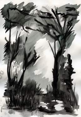 Nasrat na chatu pod Suchm!