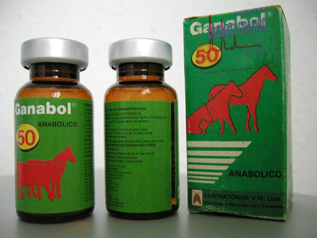 Skvlej novej matro, fakt bomba