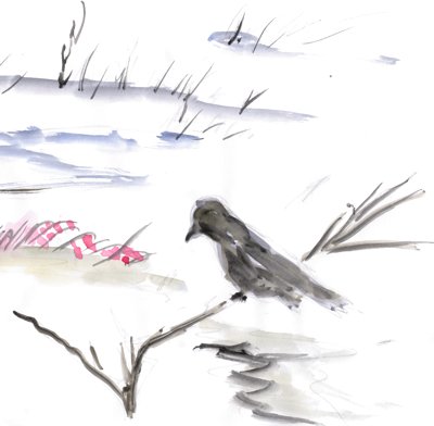 To je ptk, kdyby to nkdo nepoznal. Na vtvi. dn r, prosm.