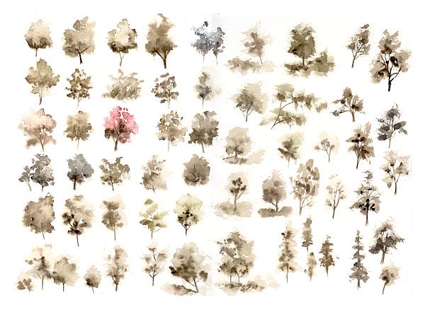 Jak pomrn zblzka rozpoznat rzn druhy strom