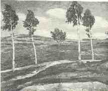 Motiv z Kameniek, rok 1904, olej, v NG. bohuel nedokoneno.