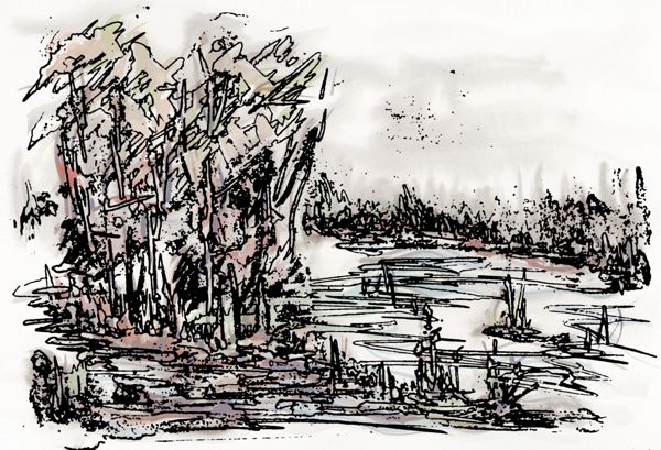 Jen takov experiment