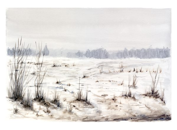 V prosinci na poli, pokus sedm. Pedchzejc pokusy nedopadly nejlp, zvlt kvli nepovedenmu lesu. estka mla les ohlodan krovcem a na jet rannjch to vbec les nepipomnalo.