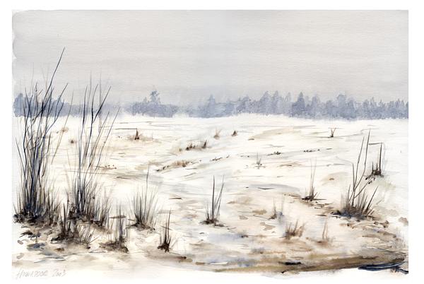 V prosinci na poli, osm a zatm posledn pokus