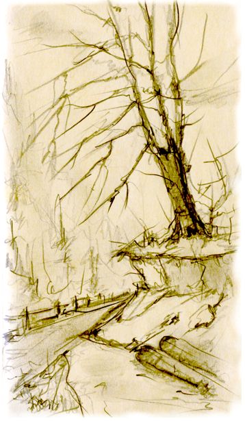 mranice z cesty na kole, tuka