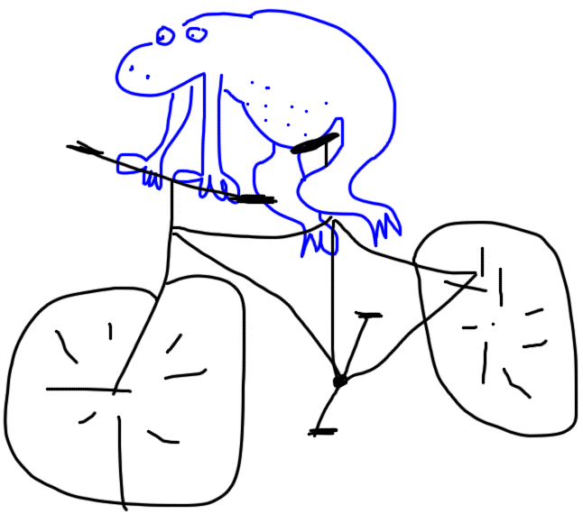 ba jede na kole. Howadoor 2001