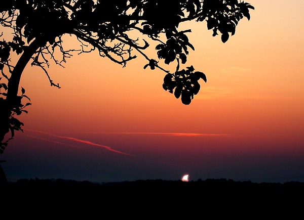 Zatmění, fotografovala sestra