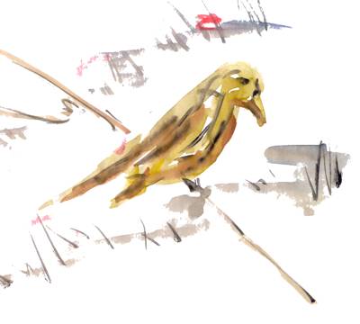 &quot;Zklaman lva&quot;