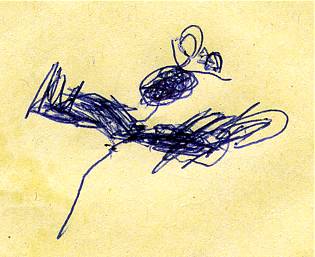 Komr - Pandora, z 2003