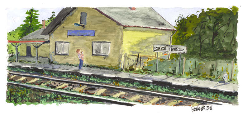 Zastvka Tomkovice. ena s dttem ek na vlak.