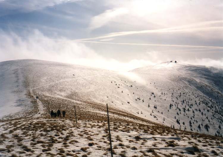 Velk Fatra v noru 2001 - cesta po hebenu z Krnej na Ostredok