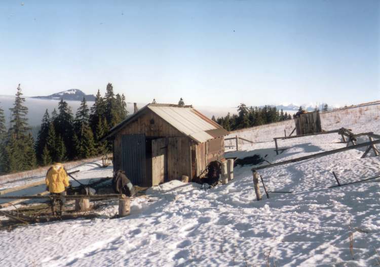 Pechod Velk Fatry v noru 2001 - Sala v Ninm iprnskm sedle