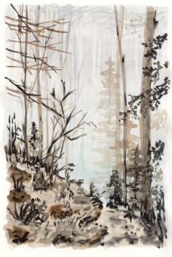 Cesta na chatu pod Suchm