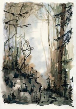 Cesta na chatu pod Suchm