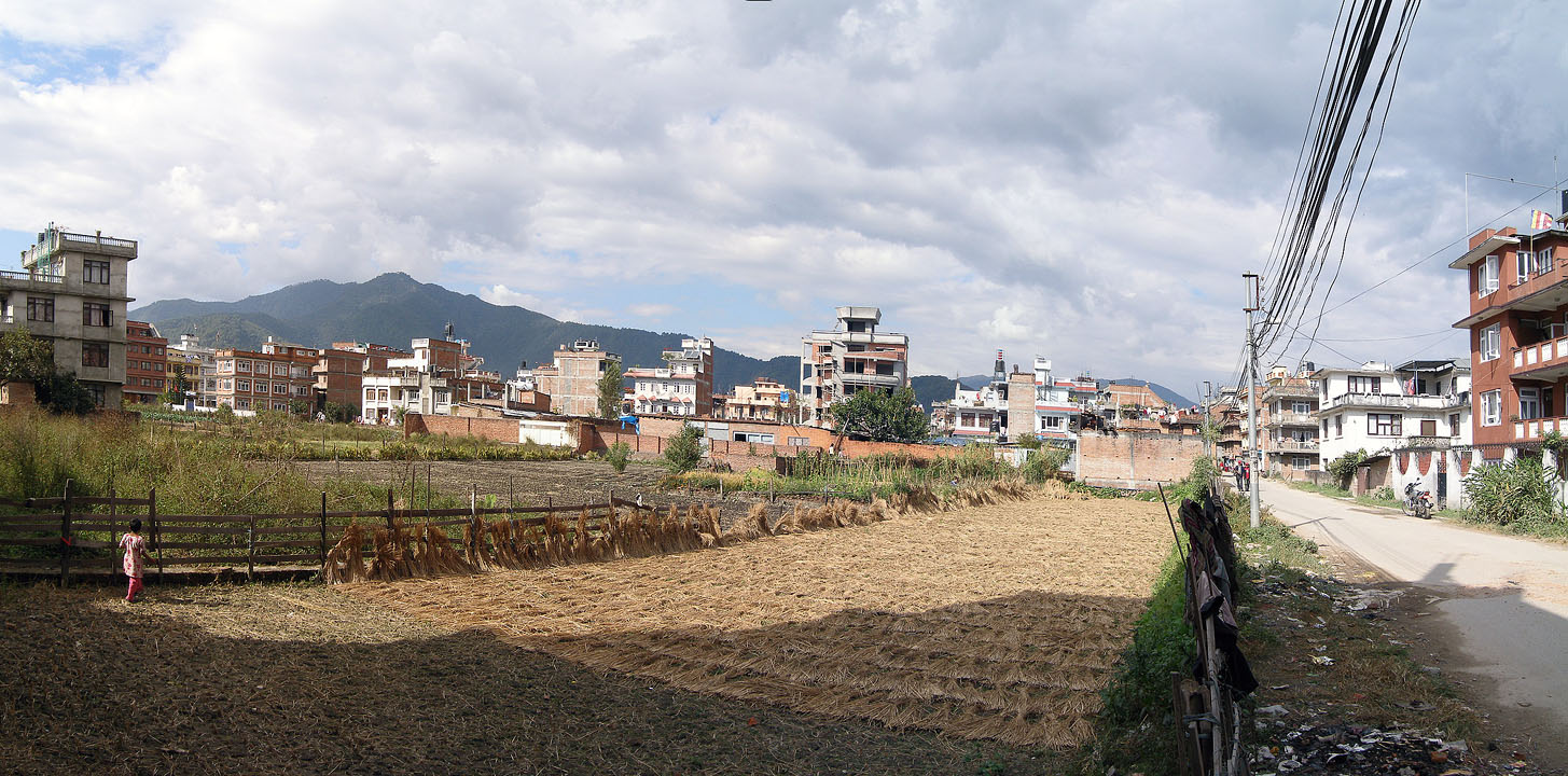 Pole mezi domy (Kathmandu)