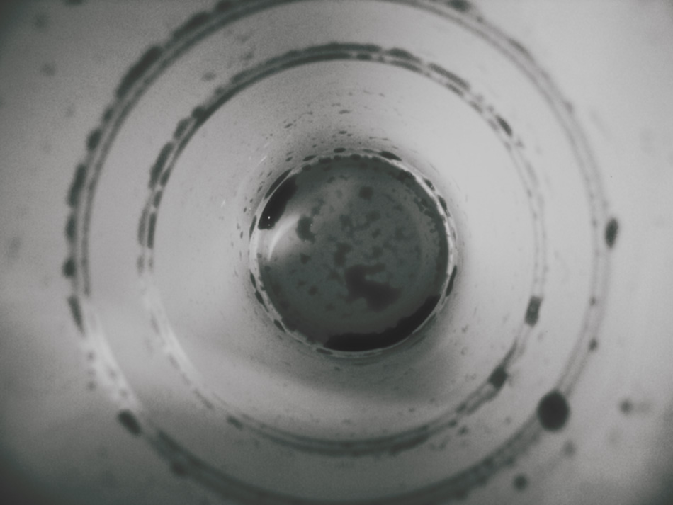 Koice, 11. ervna 2008