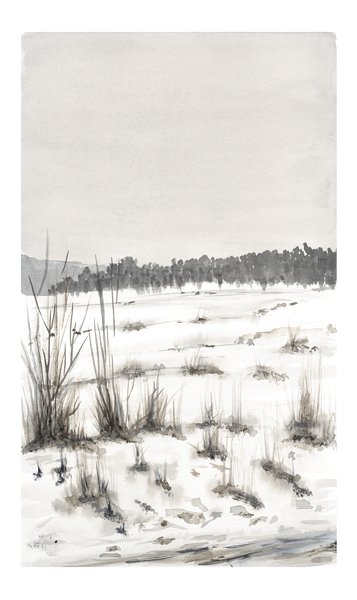 V prosinci na poli, tvrt pokus. To u nen Kandinskij, ale zas jen Howadoor