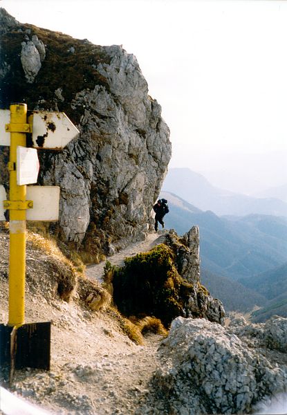 Mal Fatra, listopad 2002 - Vitsek pod vrcholem Velkho Rozsutce