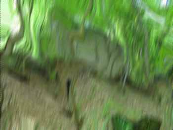 Vitskovy umleck fotografie