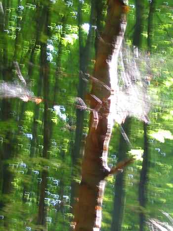 Tohle se mu ale vn povedlo