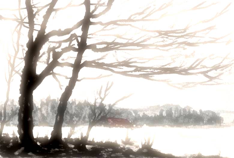 Oslnn, akvarel, zhruba A3