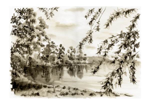 Rybnk kousek za Zkny