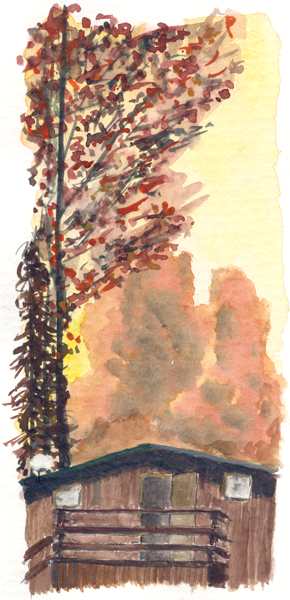 Sousedovic chatka, vlastn pebudovan maringotka. To za chatou nen lesn por, ale stromy.