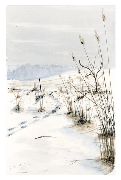 U zamrzlho rybnka, osm pokus