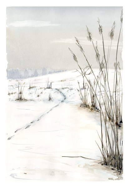 U zamrzlho rybnka, devt pokus