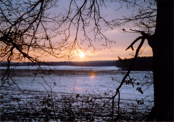 Zpad slunce tady kousek za Bystrc, asi ped trncti dny