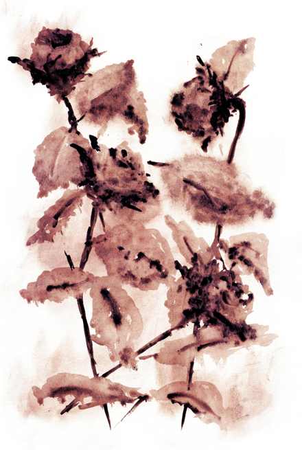 To m bt rov ke, kdyby to nkdo nepoznal